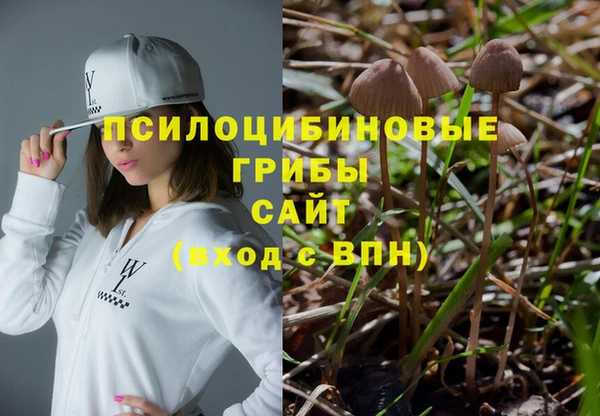 МДПВ Няндома