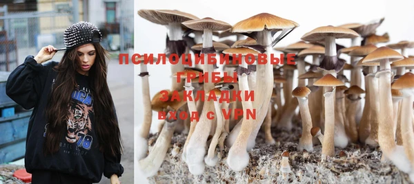 гашиш Абаза